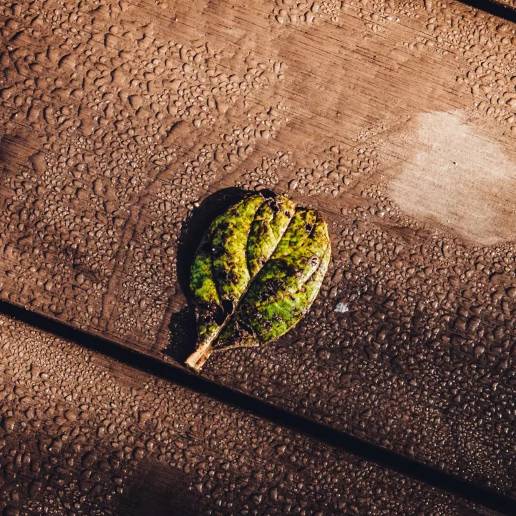 materiali sostenibili interior design materiali sostenibili interior design